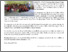 [thumbnail of Rural_Experience_for_Student_Residential_College_CD_Praised.pdf]