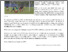 [thumbnail of UMS_Declared_Champs_at_Sabah_Technical_Institutions_Football_Championship_2013.pdf]