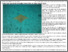 [thumbnail of - UMS-led research reveals more info on rare eagle rays.pdf]