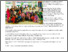 [thumbnail of UMS - FSSA Raikan Anak Yatim dalam Majlis Iftar.pdf]