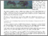 [thumbnail of Sabah's Staghorn Corals Comparable To Neighbours.pdf]
