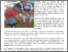 [thumbnail of UMS_Sport_Science_Programme_Pioneered_Rugby_Referees_Research_In_Malaysia.pdf]