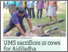 [thumbnail of UMS sacrifices 10 cows for Aidiladha.pdf]