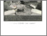 [thumbnail of UMS VC on call - DE 20.05.2005 (3).pdf]