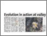 [thumbnail of Evolution in action at valley - TS 11.09.2006 P.14.pdf]