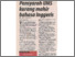 [thumbnail of Pensyarah UMS kurang mahir bahasa Inggeris - BH 29.01.2007 P.06.pdf]