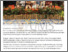 [thumbnail of UMS Anjur ICAPS 2026 Himpun 17 Universiti Antarabangsa - UM 18.02.2026.pdf]