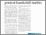 [thumbnail of Using advanced tech to protect hawksbill turtles 09.05.2026.pdf]