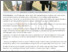 [thumbnail of Sepanggar Fishing Fest to revive interest- Jamawi DE 18.05.2026.pdf]