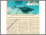 [thumbnail of Populasi ikan pari meningkat, jerung berkurangan HE 15.07.2026.pdf]