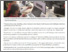 [thumbnail of Gamuda AI Academy perkasa tenaga mahir teknologi di Sabah UB 28.07.2026.pdf]