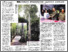 [thumbnail of 'Monkey business' saves Sukau.pdf]