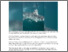 [thumbnail of Sabah varsity students conservation group gather data on whale sharks.pdf]