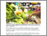 [thumbnail of Pickling vegetables way forward for farmers.pdf]